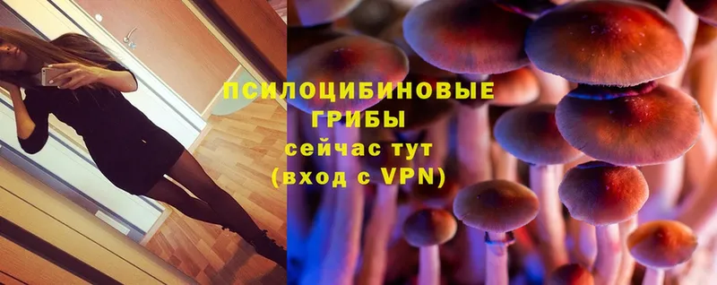 Псилоцибиновые грибы Magic Shrooms  Хабаровск 